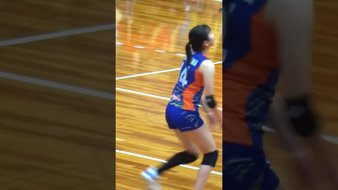 vリーグ サインボール 西川吉野選手 古川選手他（バレーしてる姿