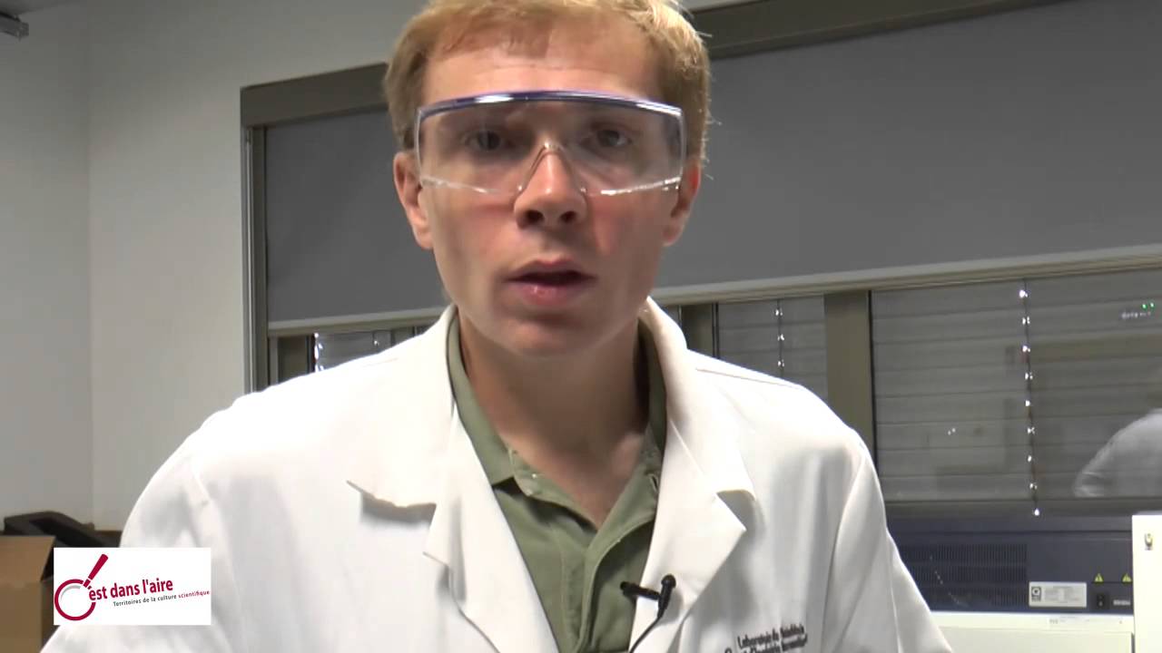 Science on tourne ! Lumière sur les polymères