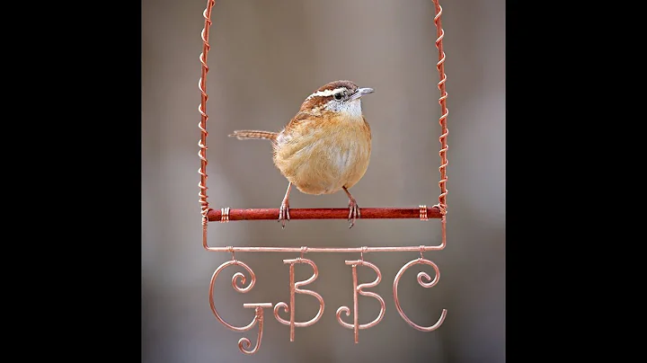 Great Backyard Bird Count - The event was a hit! - DayDayNews