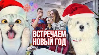 влог: КАК МЫ ВСТРЕТИЛИ НОВЫЙ ГОД С ЖИВОТНЫМИ ДОМА!!!