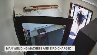 Man wielding machete and bird charged with felony in Mecosta County