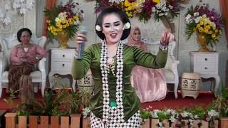 Download Lagu PODANG KUNING - DJ Manja Jamilah Jamilun - SGRpro MP3 Download Lagu PODANG KUNING - DJ Manja Jamilah Jamilun - SGRpro MP3