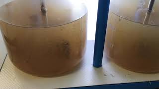 Prueba de jarras en aguas residuales / Wastewater jar test (tuna manufacturing)