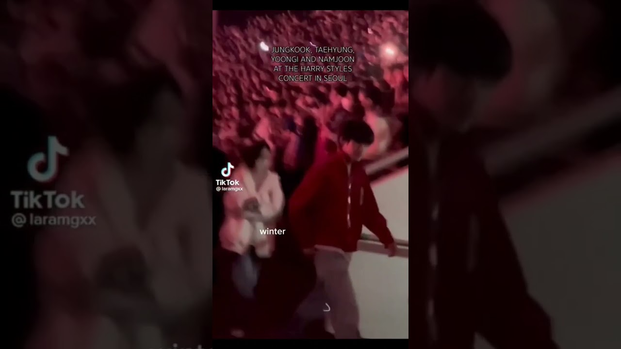 Winter attending Harry styles concert with V and jk 
