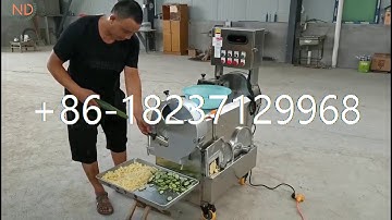 multifunctional vegetable cabbage cucumber carrot potato slicer cuber dicer stick cutter machine