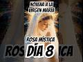 Novena a la virgen María Rosa mística DÍA 8 #mensaje #fe #santavirgen #amor #feymilagros #reflexion