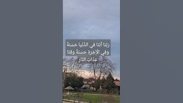#قرآن #سورة_البقرة #surahalbaqarah #قران_كريم #البقرة #سورة #tilawat #اكسبلور #المصحف