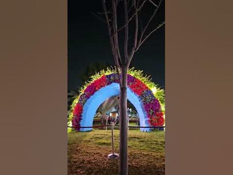 огромный червяк - YouTube
