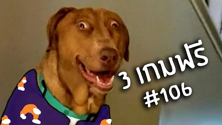เพื่อนหมาสามนาที | 3 เกมฟรี #106