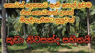 කොටස් දෙකකට ඇති පොල් ඉඩම සමග කුඩා නිවස  | Land for sale in Malsiripura Sri Lanka | Kandy Property