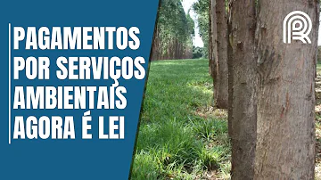 Como funciona pagamento por serviços ambientais?