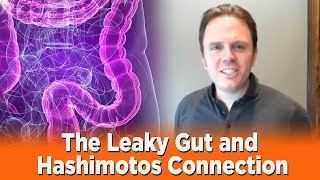 The Leaky Gut and Hashimoto's Connection