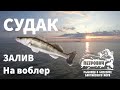 VLOG: Судак. Калининградский залив. Воблер. Август 2020.