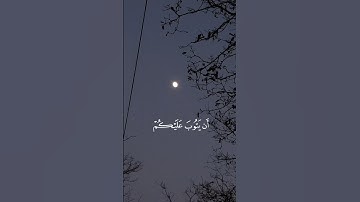 القارئ : ياسر الدوسرى ﴿ وَاللَّهُ يُرِيدُ أَن يَتُوبَ عَلَيْكُمْ ﴾[ النساء: 27]