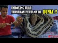 UNBOXING HARLEQUIN PHANTOM RETIC| KURAS PULUHAN JUTA BUAT PYTHON KECIL INI !