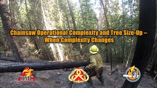 Chainsaw Operational Complexity and Tree Size-Up - When Complexity Changes