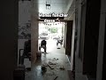 Momai fanichar deesa 🔨 mdf finish puyo color