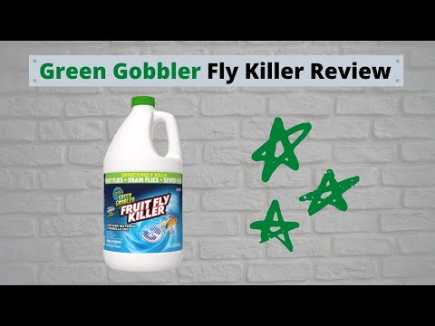 Green Gobbler Fruit Fly Killer Review