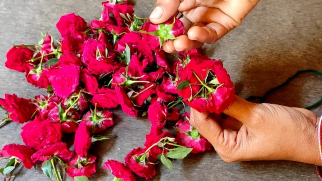 button Rose garland making // button Rose kattuvathu eppadi // bridal