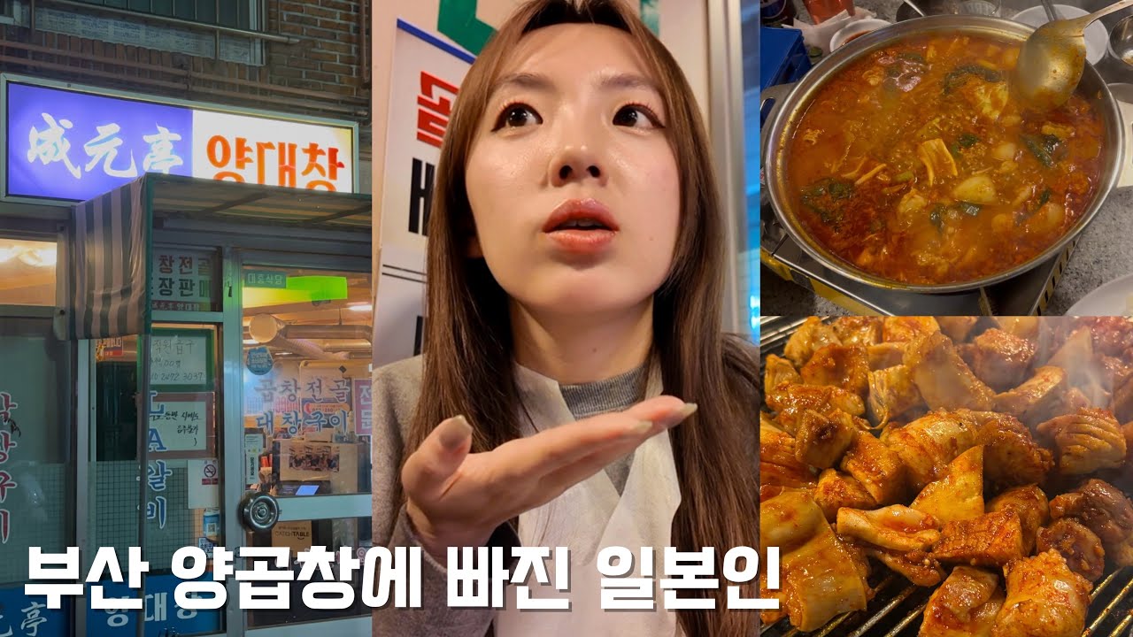 【부산 거주 일본인】 모츠나베보다 곱창전골에 바쪘습니다...