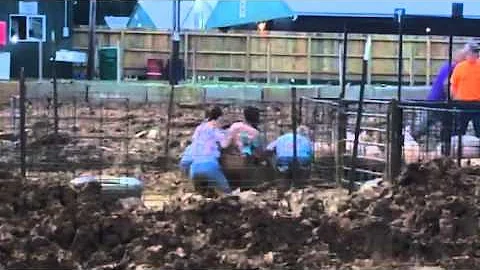 Hog wrestling