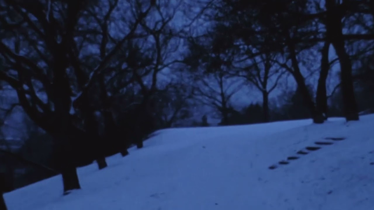 Abyssial - coldharbour [Official Visualizer]