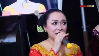 PAMBUKO ALL ARTIS CAMPURSARI NEW PUTRA LAWU