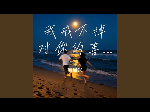 我戒不掉对你的喜欢R&B (微醺版)