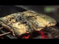 魚菜園 - 地域情報動画サイト 街ログ