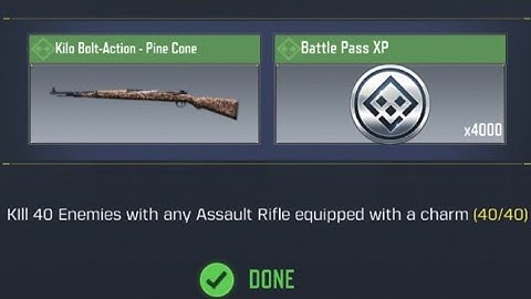 Call Of Duty Mobile Kill 40 Enemies with any Assault Rifle equipped with any charm Task Complete