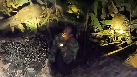 Hunting yos hav zoov tua yij tua hos huam pw lom zem