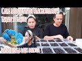 CARA MENYIMPAN HASIL PANEN BLACKCURRANT TAHAN BERBULAN BULAN || MALAH DAPAT KEJUTAN DARI MERTUA