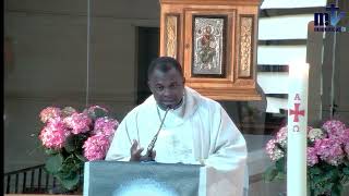 La Sainte Messe du jour | 7ème Dimanche de Pâques | 12-05-2024 | P. Achille José Nkomo Bessala, FM