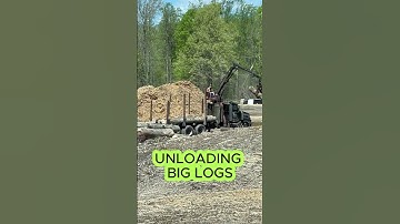 UNLOADING BIG LOGS #sawmill #tree #trees #logging #treeremoval