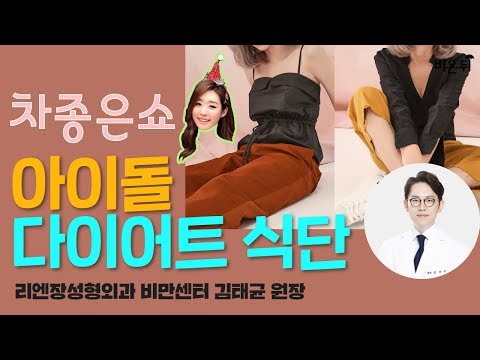 차종은쇼-연예인 다이어트식단(<strong>리엔장성형외과</strong> 김태균 원장)