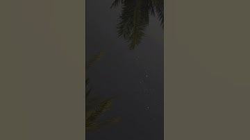 سورة هود • الشيخ الوليد الشمسان