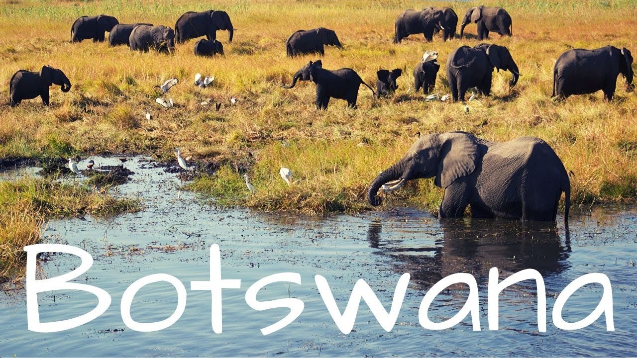 Two Minute Travel Series Botswana Water Safari Okavango Delta and Chobe National Park YouTube