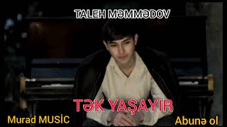 Taleh Məmmədov - Tək Yaşayır 
