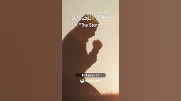 Surah Al-Qasas 17 | Hindi - Urdu Audio translation | سورة القصص #alqasas #hindi #urdu
