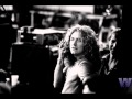 Robert Plant - All the Kings Horses