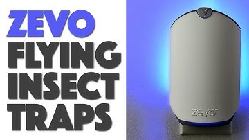 ZEVO Flying Insect Traps: Do they Work? #ad