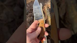 The Camp Mule from Carry Commission
The Camp Mule from Carry Commission getting some work in batoning green muscle wood.
#baton #carrycommission #bestdamnedc
#bushcraft The Camp Mule from Carry Commission