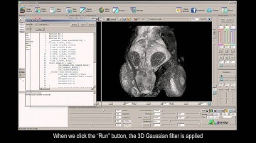 FluoRender OpenCL filters and image processing