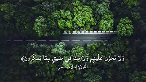(واصبر وما صبرك إلا بالله)♥️ القارئ اسلام صبحي