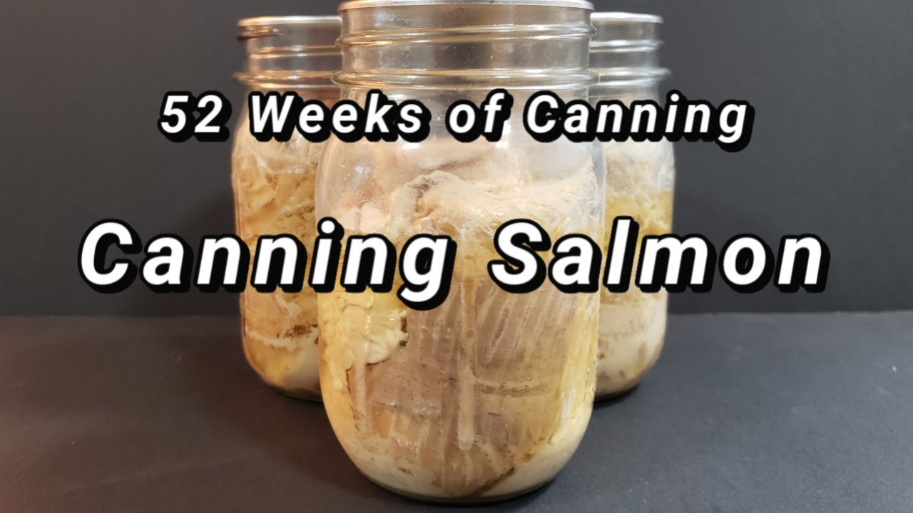 Pressure Canning Salmon 52 Weeks of Canning YouTube