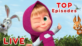 Masha and the Bear ???????? LIVE STREAM ???????? TOP cartoon episodes for kids
