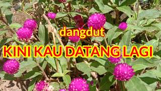 Download Lagu dangdut kini kau datang lagi koplo MP3