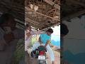 Why Fighting Memes Are So Popular #funny #shortvideo