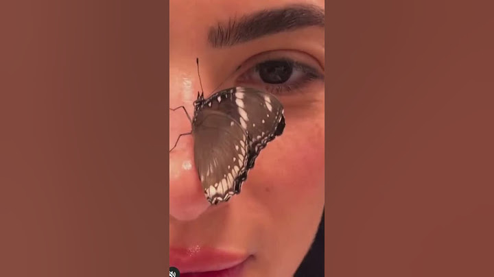 من منا يتخيل هذا؟ هدى المفتي في رقصة ساحرة مع الفراشات