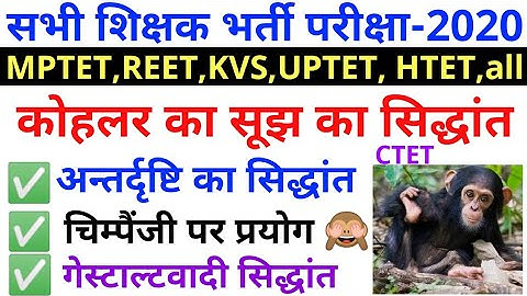 #कोहलर का सूझ एवम अंतर्दृष्टि का सिद्धान्त #INSIGHT THEORY KOHLAR THEORY TET CTET EXAM
